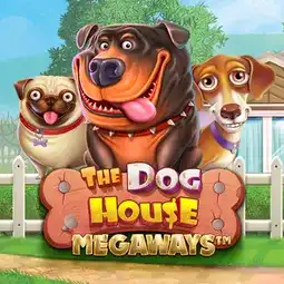 The Dog House Megaways game at Kats Casino for Australia players