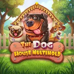 The Dog House Multihold game at Kats Casino for Australia players